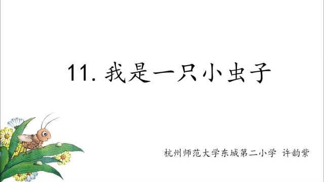 《我是一只小虫子》杭州师范大学东城第二小学 许韵紫