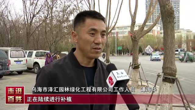 乌海:让市民有更多“绿色福利”