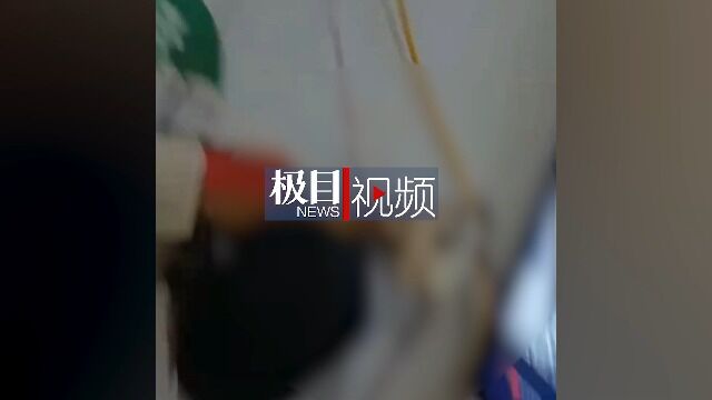 网曝一男孩疑用电梯门勒杀宠物狗,安徽马鞍山警方介入