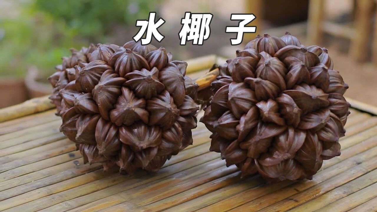 水果中的“大杀器”,孑遗植物水椰子