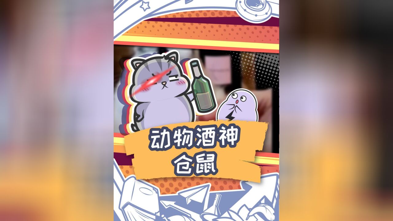 堪称“动物界酒神”,仓鼠的酒量有多离谱?