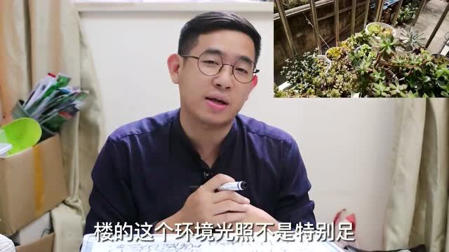 江苏花友参与《秀花》投稿