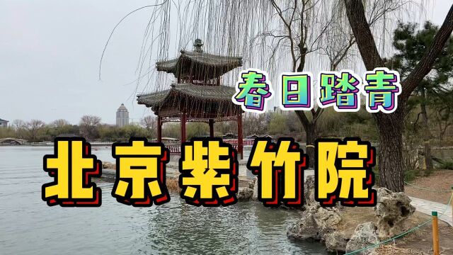 美翻了!实拍北京紫竹院公园春日花海!免费开放竟还做过皇家行宫