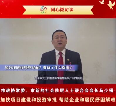 深圳市政协常委、市新的社会阶层人士联合会会长马少福:加快项目建设和投资审批,帮助企业和居民纾困解难