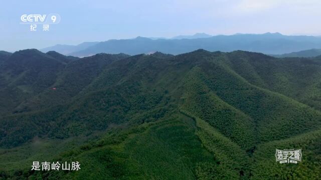 A44【纪录片】CCTV9 长征胜利80周年《江山多娇ⷩ•🥾中的那山那水那路》07南岭英烈 04'55”