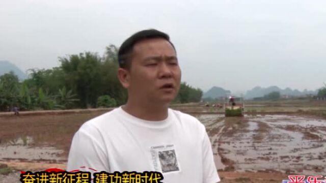 【桂林向您汇报ⷮŠ平乐篇】旱改水项目出成效,谷雨时节插秧忙