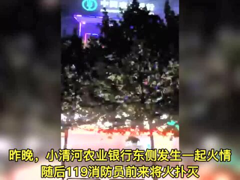 滕州:又见火情!——小清河北农行东侧