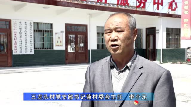 【乡村振兴访谈录】访永寿县渠子镇五龙头村党支部书记兼村委会主任 李小元