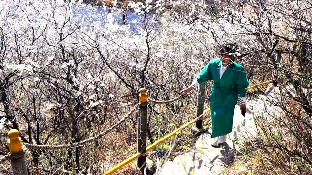 扩散!鸡西市杏花山旅游节启幕!