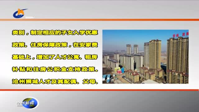 博士购房补贴30万!租房每月2000!沧州市最强人才新政!