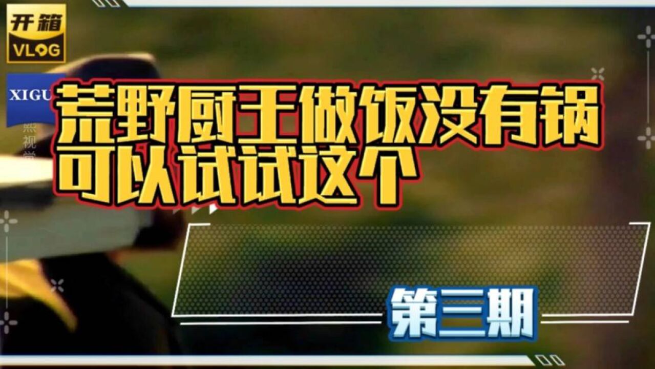 荒野厨王:做饭没有锅你可以试试用这个,里面的知识你