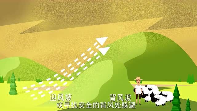 全国防灾减灾日|减轻灾害风险 守护美好家园