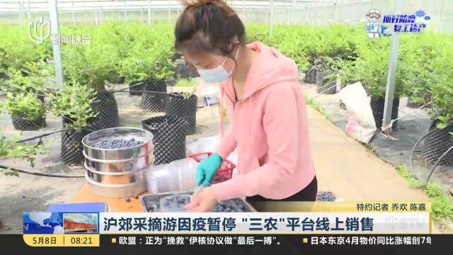 沪郊采摘游因疫暂停“三农”平台线上销售