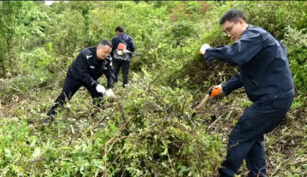 【文化育警】道真公安“三力三感”打造警营文化基地