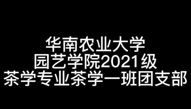 华南农业大学园艺学院茶学专业茶学一班团支部