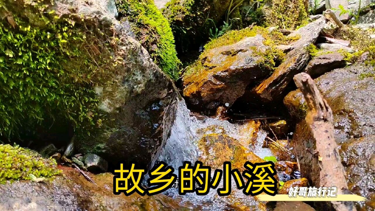 随意踏入秦岭山沟,山野小溪水流潺潺,乘凉好去处