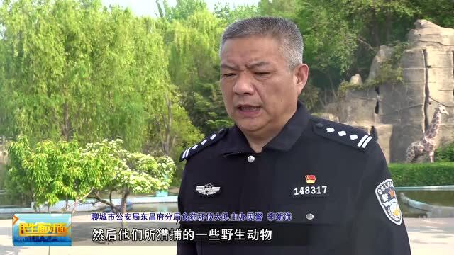 聊城警方解救六只画眉鸟 属国家二级保护野生动物