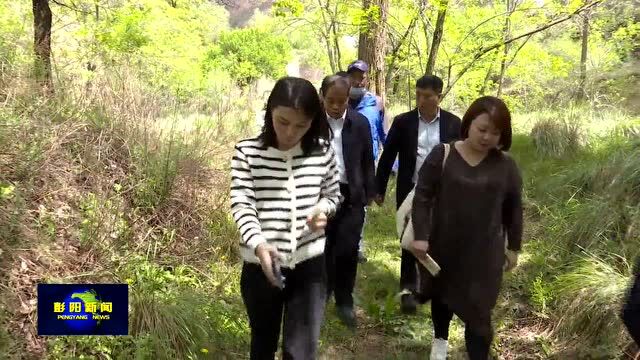 福建省青年建筑师协会调研我县民宿(生态旅游)发展情况