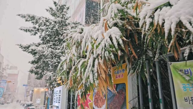 城市街道下雪雪景视频素材 (69)