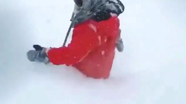 大雪 雪景 小雪 冬季 冬日 大雪节气 下雪风景 银装素素