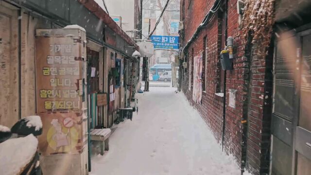 城市街道下雪雪景视频素材 (75)