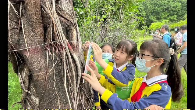 基层科协丨我为身边添新绿,共建绿美越秀