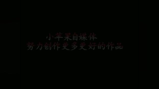 潮剧唱段《海滨夜情》演唱:沈映漫