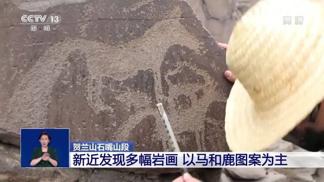 贺兰山石嘴山段新近发现多幅岩画 以马和鹿图案为主