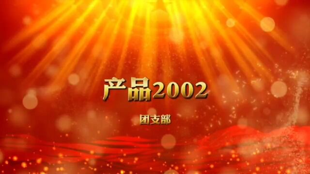 产品2002