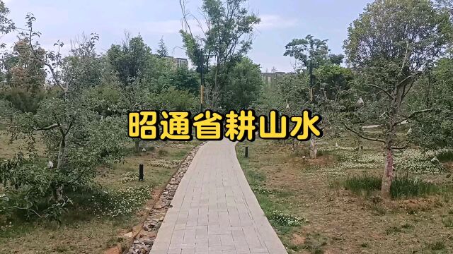 昭通省耕山水欣赏