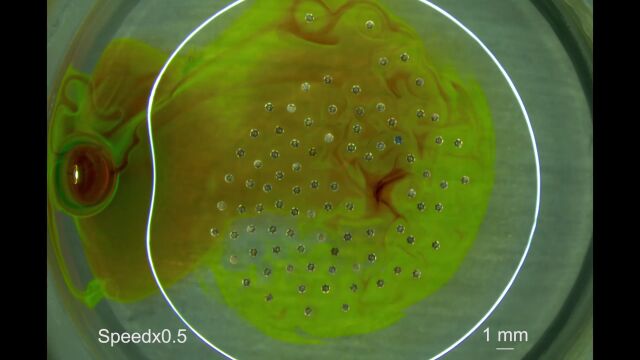 可重构微型集群机器人,点亮未来医疗与环境修复