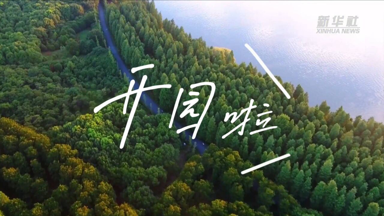 上海:开园啦!去崇明享受夏日烂漫