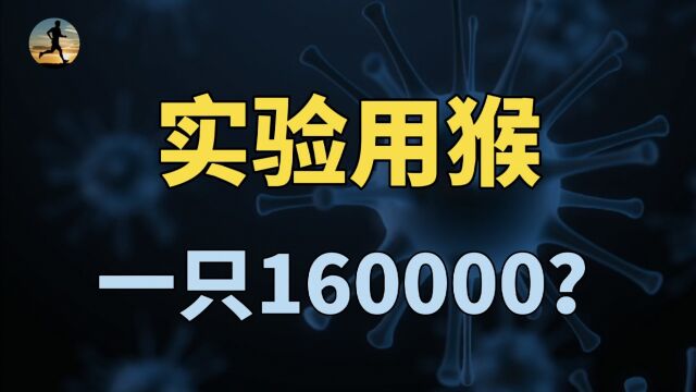 猴子16万一只,多家龙头医药企业囤猴?