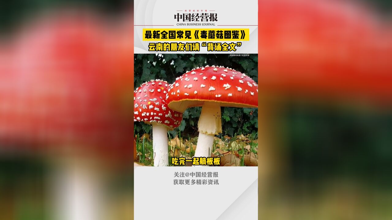 最新全国常见毒蘑菇图鉴发布,云南的朋友请背诵全文!