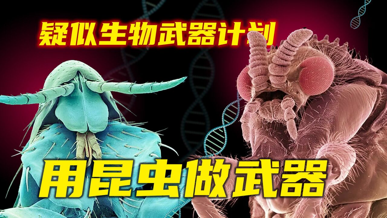 美军被质疑用昆虫造生物武器