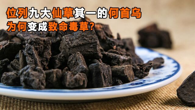 位列九大仙草其一,白发救星何首乌,为何变成致命毒草?