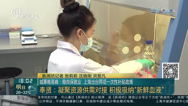 城事晚高峰:稳岗保就业 上海出台两项一次性补贴政策 奉贤:凝聚资源供需对接 积极吸纳“新鲜血液”