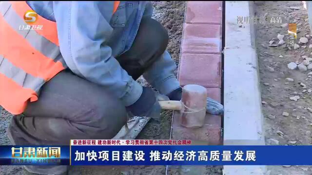 加快项目建设 推动经济高质量发展