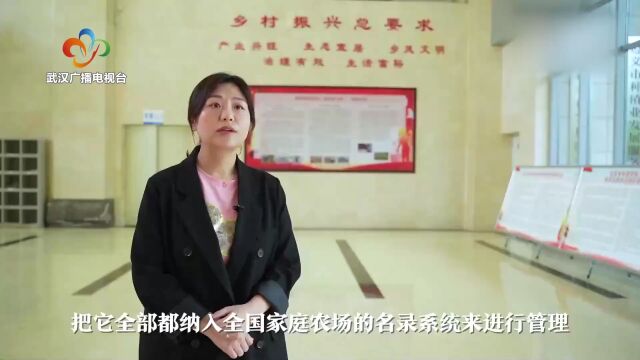 数说财经 | 家庭农场走出一条增收致富路