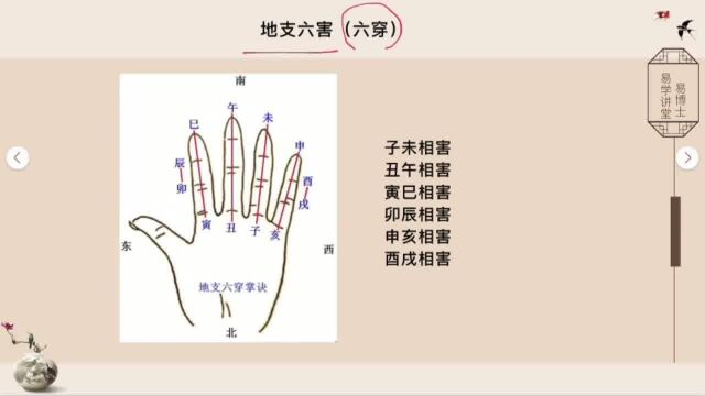 生辰八字入门基础讲解:地支的相刑11易楠天易学