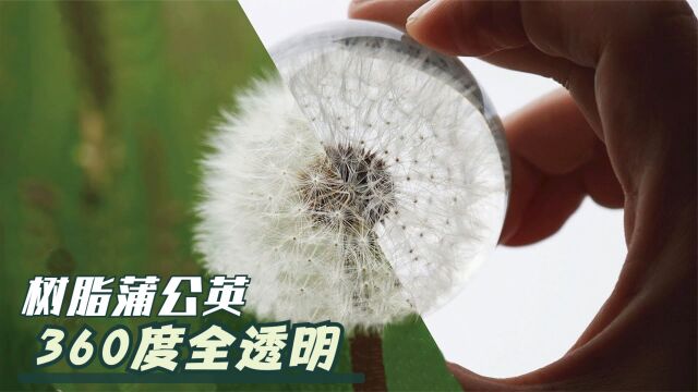 保姆级教程:自制蒲公英水晶球