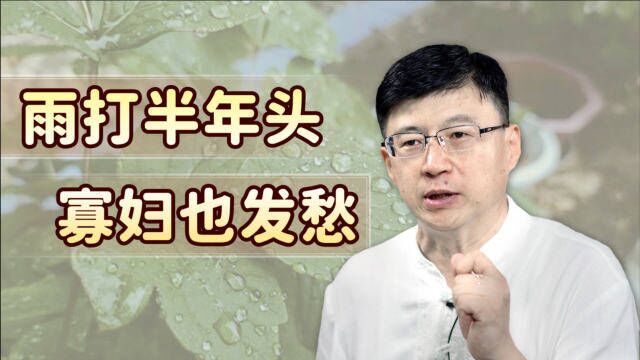 “雨打半年头,寡妇也发愁”,半年头是哪一天?下雨好不好呢?