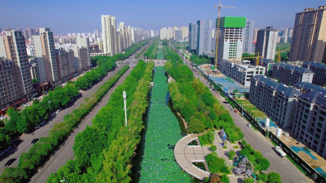 航拍许昌龙兴路段夏日美丽荷花池,荷花盛开太美了