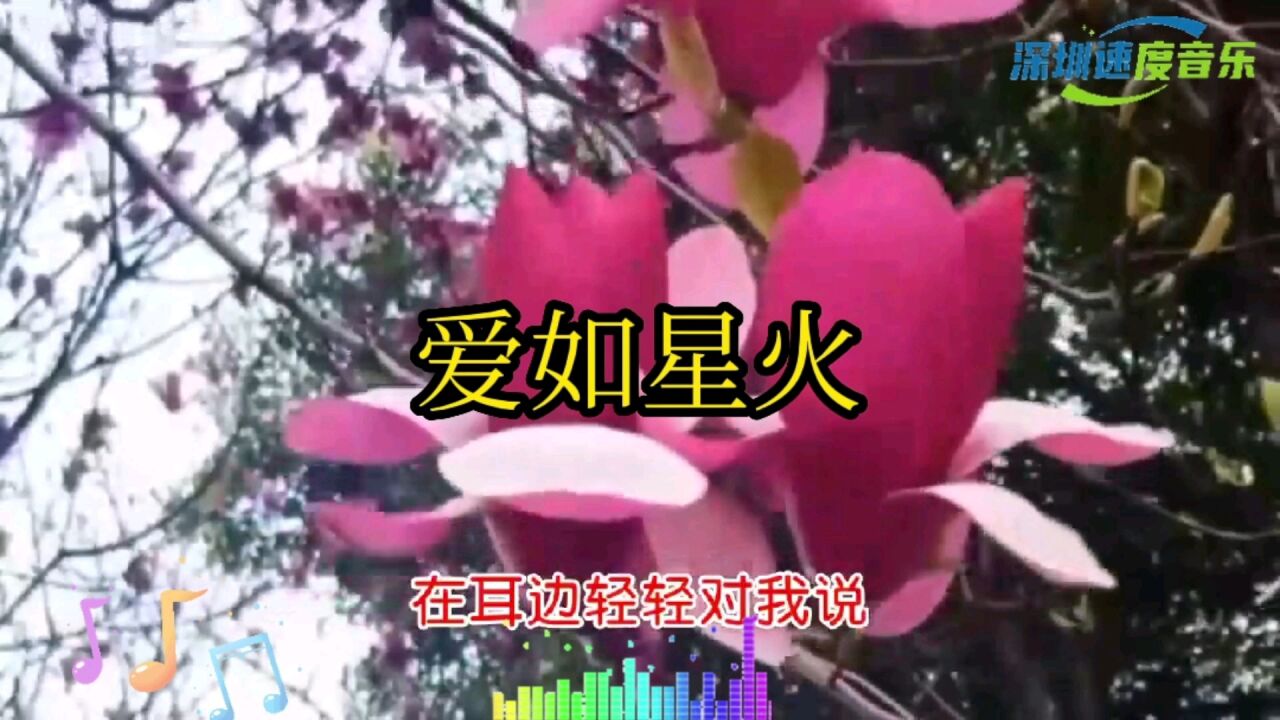 《爱如星火》唱出了爱情的真爱,只有懂得珍惜才配拥有.