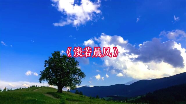 《淡若晨风》古琴曲,欣赏,宁静致远,唯美悠扬