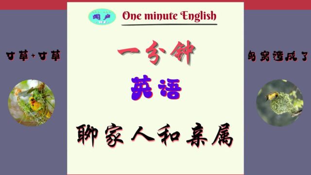 一分钟英语D27 聊家人和亲属 | 英语学习 | Learn English | 英语口语 | 英语语法