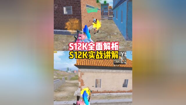 S12K全面解析及教学