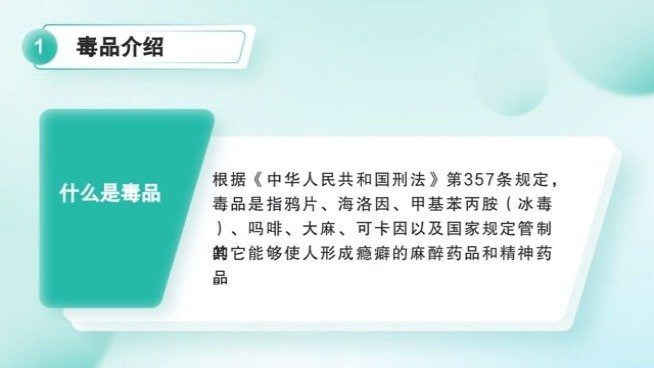 青少年毒品预防 无毒青春 健康成长