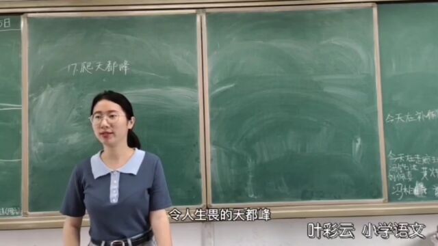 小学语文 南山镇政府