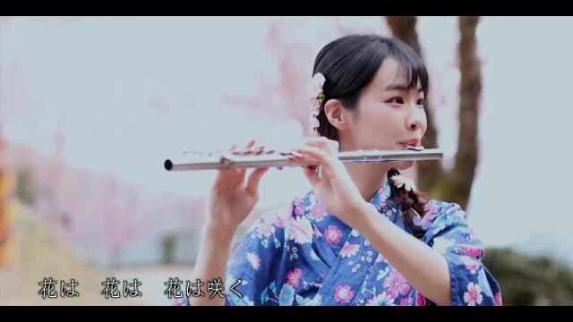 像花儿一样能治愈人心的长笛曲《花は咲く》长笛姐姐演奏 